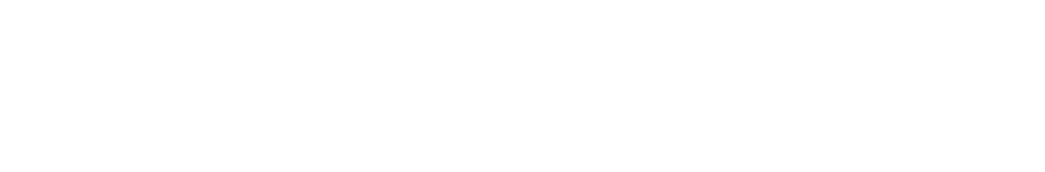 Milestone of 20 years marked